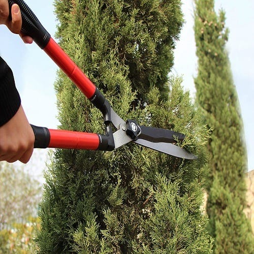 Garden Hedge Shears Trims Border and Grasses NeatStore.NG